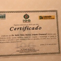 Ampliar imagem: certificate 4