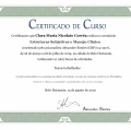 Ampliar imagem: certificate 6