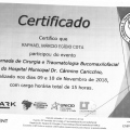 Ampliar imagem: certificate 191