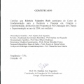 Ampliar imagem: certificate 9