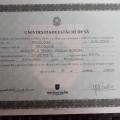 Ampliar imagem: certificate 2