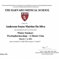 Ampliar imagem: certificate 4