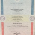Ampliar imagem: certificate 3