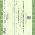 Ampliar imagem: certificate 3