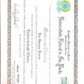 Ampliar imagem: certificate 1