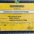 Ampliar imagem: certificate 26