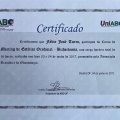 Ampliar imagem: certificate 8