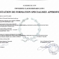 Ampliar imagem: certificate 9