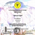 Ampliar imagem: certificate 91