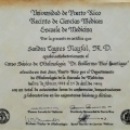 Ampliar imagem: certificate 7