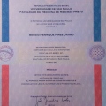 Ampliar imagem: certificate 1