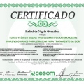 Ampliar imagem: certificate 3