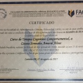 Ampliar imagem: certificate 1