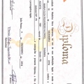 Ampliar imagem: certificate 1
