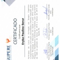 Ampliar imagem: certificate 4