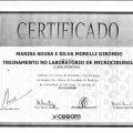 Ampliar imagem: certificate 17