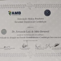Ampliar imagem: certificate 4
