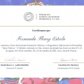 Ampliar imagem: certificate 1