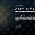 Ampliar imagem: certificate 10
