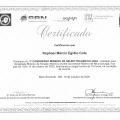 Ampliar imagem: certificate 176