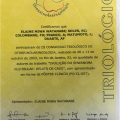 Ampliar imagem: certificate 17