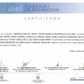 Ampliar imagem: certificate 17