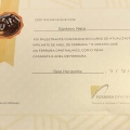 Ampliar imagem: certificate 12