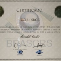 Ampliar imagem: certificate 33
