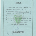 Ampliar imagem: certificate 3
