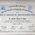 Ampliar imagem: certificate 2