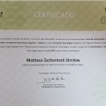 Ampliar imagem: certificate 3