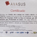 Ampliar imagem: certificate 12