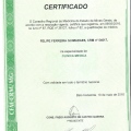 Ampliar imagem: certificate 2