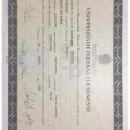 Ampliar imagem: certificate 11