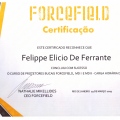 Ampliar imagem: certificate 8