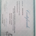 Ampliar imagem: certificate 4