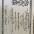 Ampliar imagem: certificate 1