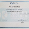 Ampliar imagem: certificate 7