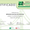 Ampliar imagem: certificate 2