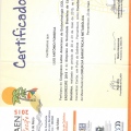 Ampliar imagem: certificate 7