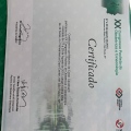 Ampliar imagem: certificate 3