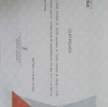 Ampliar imagem: certificate 9