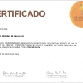 Ampliar imagem: certificate 1