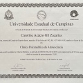 Ampliar imagem: certificate 2