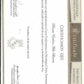 Ampliar imagem: certificate 6