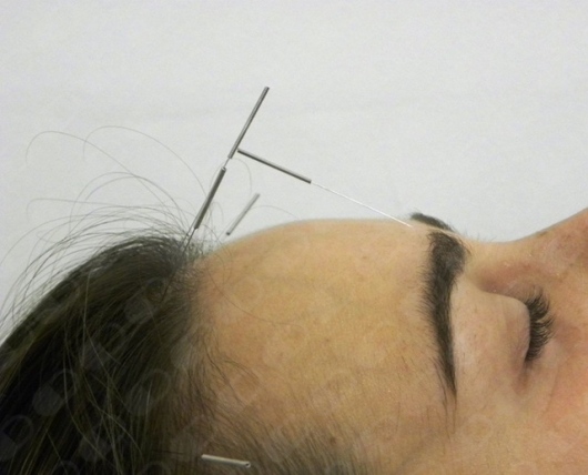 David Câmara Loureiro-2