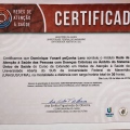 Ampliar imagem: certificate 19
