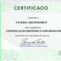 Ampliar imagem: certificate 31