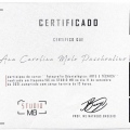 Ampliar imagem: certificate 4