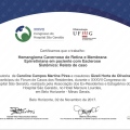 Ampliar imagem: certificate 8